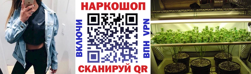 Где купить наркотики Шлиссельбург Конопля  Гашиш 