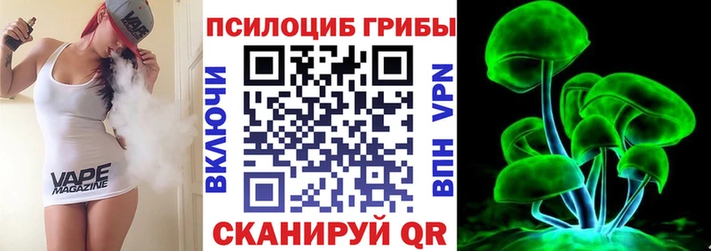 Галлюциногенные грибы прущие грибы  продажа наркотиков  Шлиссельбург 